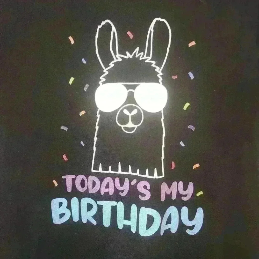 Fortnite lama birthday shirt